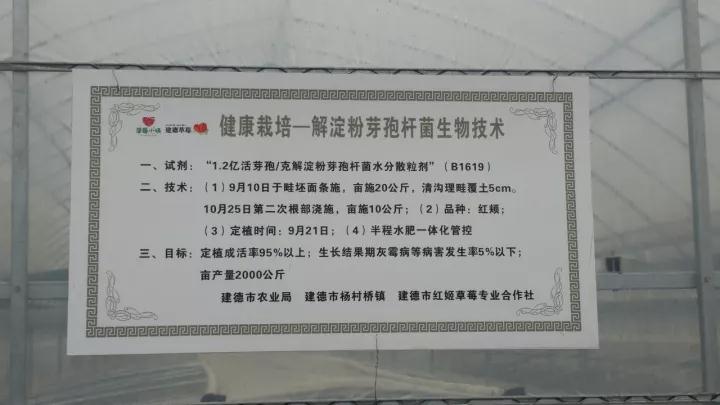 "院士"将助力草莓健康栽培模式发展