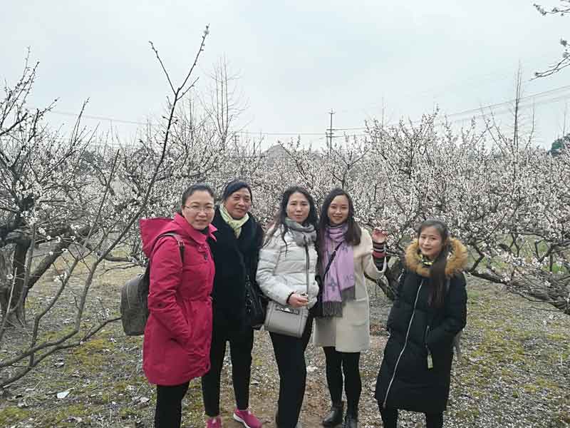 c7(中国)工会开展庆“三八”踏春赏梅活动